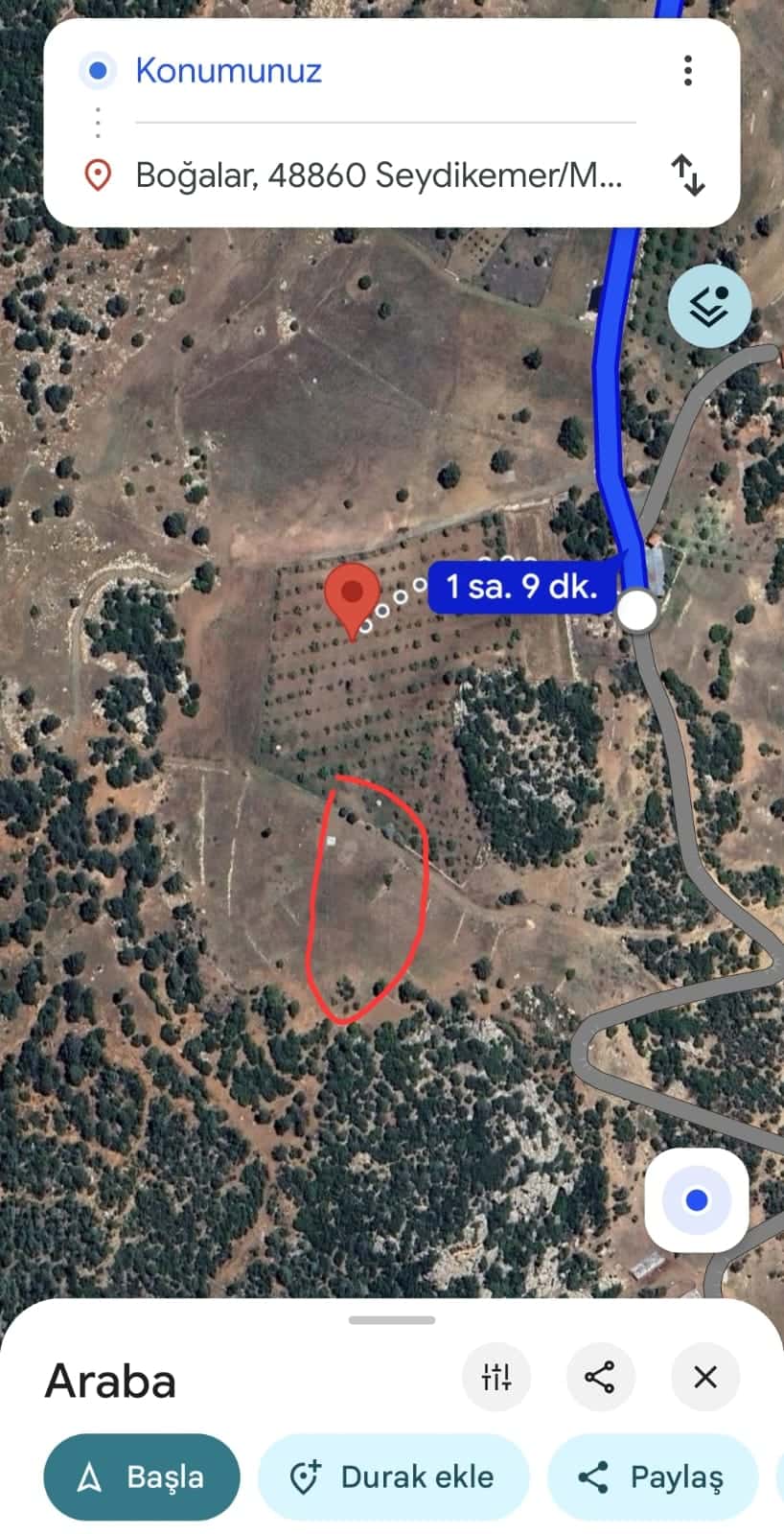 Seydikemer Boğalarda Tarla - Ada:185/Parsel:5 Boğalar Mah. Seydikemer/Muğla müzayede küçük resim 4