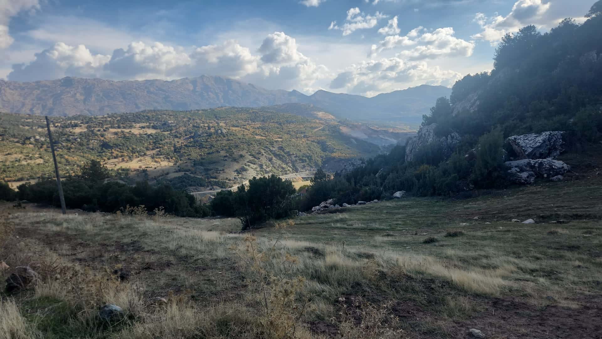 Seydikemer Boğalarda Tarla - Ada:185/Parsel:5 Boğalar Mah. Seydikemer/Muğla müzayede küçük resim 1