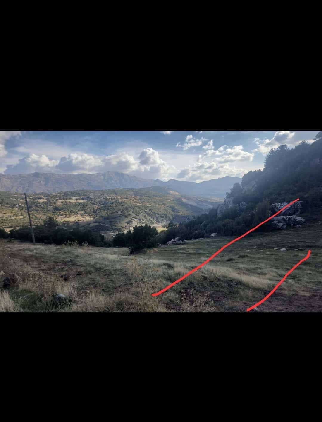 Seydikemer Boğalarda Tarla - Ada:185/Parsel:5 Boğalar Mah. Seydikemer/Muğla müzayede küçük resim 2