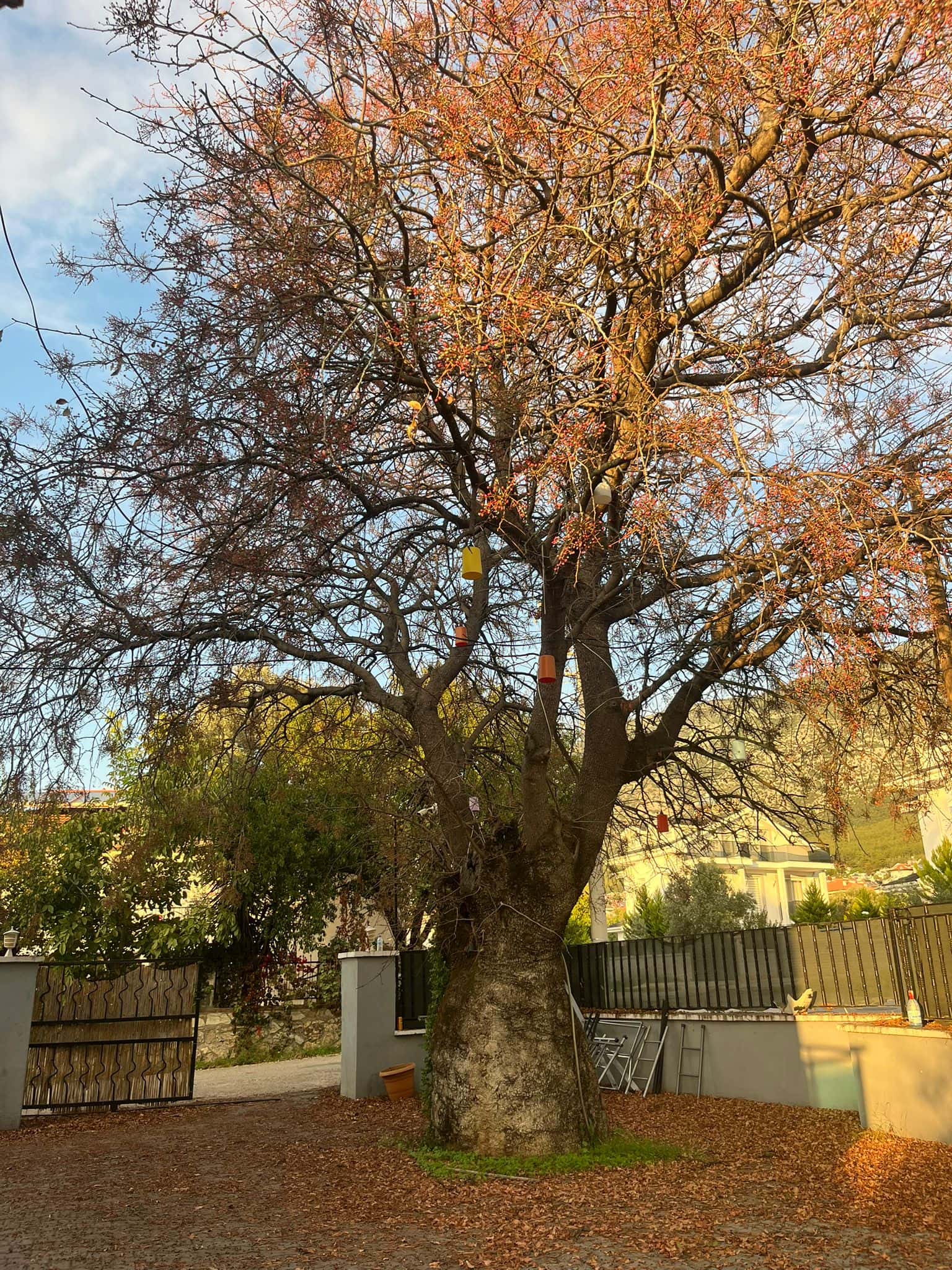 Ovacığın İncisi Apart Otel - Ovacık Mahallesi Ada:595/Parsel:2 Fethiye/Muğla müzayede küçük resim 24